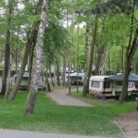 przyczepy campingowe - Camping Gdańsk
